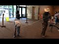 Getting All Tied Up TheBriscoeWesternArtMuseum On National Cowboy Day In San Antonio Tx