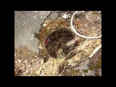 Milovice - Boží dar 2013