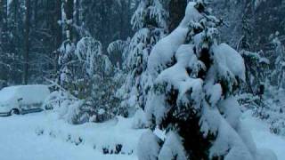 preview picture of video 'Snow in Snohomish 12/2008'