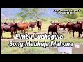 Limbu Luchagula Mabheja Mahona Official Music Audio 2021