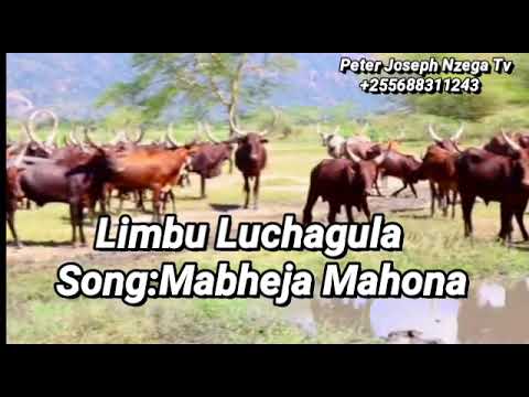 Limbu Luchagula - Mabheja Mahona (Official Music Audio 2021)