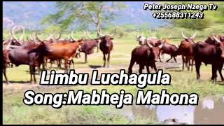 Limbu Luchagula-Mabheja Mahona 2021