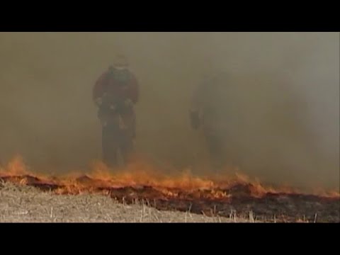 Risk för gräsbränder – så gör du om det hettar till - Nyheterna (TV4)