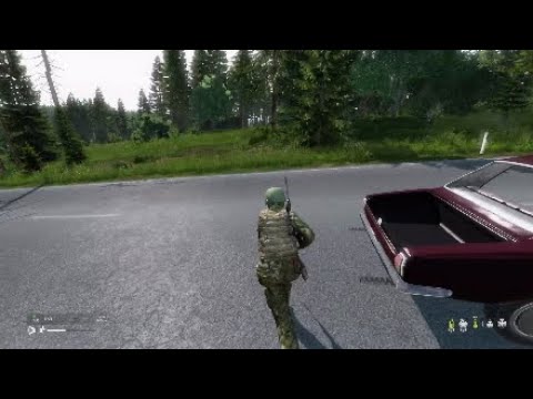 DayZ PS4: Exchanging insurance details (308 version)