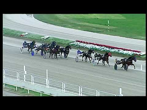 Napoli Trotto 3/12/2021 - 3ª corsa