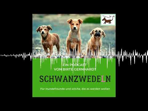 80 Hundegeschichten des Jahres 2022 - Schwanzwedeln