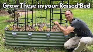 Veggies to Grow in a Raised Bed Planter this Summer - Tips for a Big Harvest