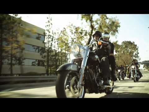 Adamec Harley Davidson DNA