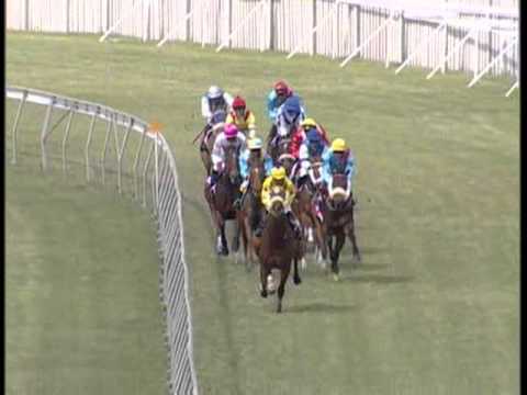 12th meeting race 1.avi