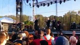 Blue Meanies - Live at Riot Fest 2014 - Chicago, IL