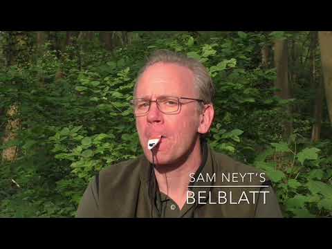 Roebuck call, roebuck calling, the BelBlatt, Teaser.