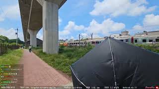 [問卦] 為什麼柴犬英文叫做西八？