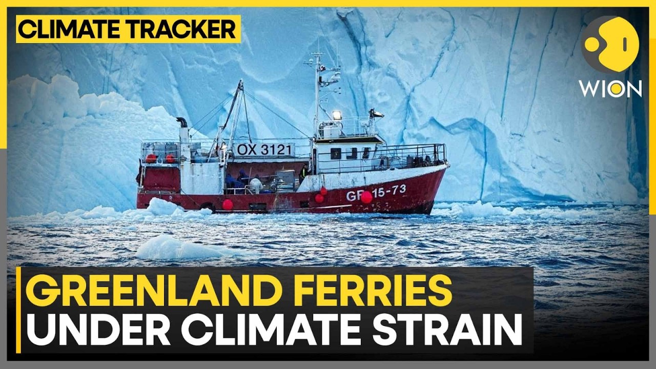 Greenland: Record Warm Temperatures Disrupt Arctic Sea Ice Cycles | WION CLIMATE TRACKER