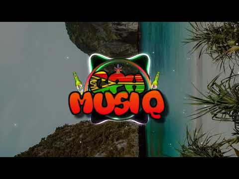 Vybz Kartel - Too Young (D21 Mushup Remix) 2024