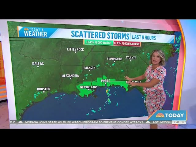 Why did Dylan Dreyer leave Weekend Today? Meteorologist exits show