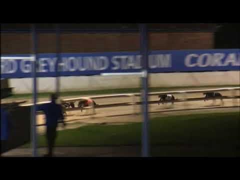 2017 ROMFORD PUPY CUP - 2ND SEMI - T1 ROXHOLME NIDGE