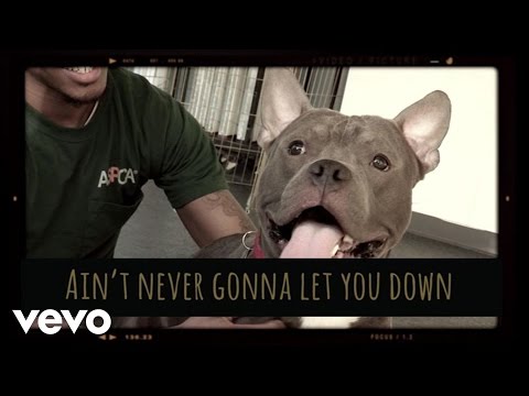 Colbie Caillat - Never Gonna Let You Down (Official Video)
