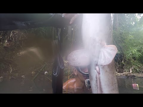 P2 - GINAMITAN ng KAMAY na BAKAL para MASALIPOT ang AFRICAN at KARPA   [Reload]