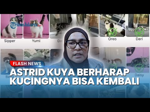 ASTRID KUYA LEGOWO seusai Rumahnya Dijarah Para Perusuh, Ngaku Berharap 12 Kucingnya Bisa Kembali