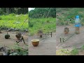 Amazing Creative DIY Technique Unique Quail Trap Method Primitive Bird Trapping
