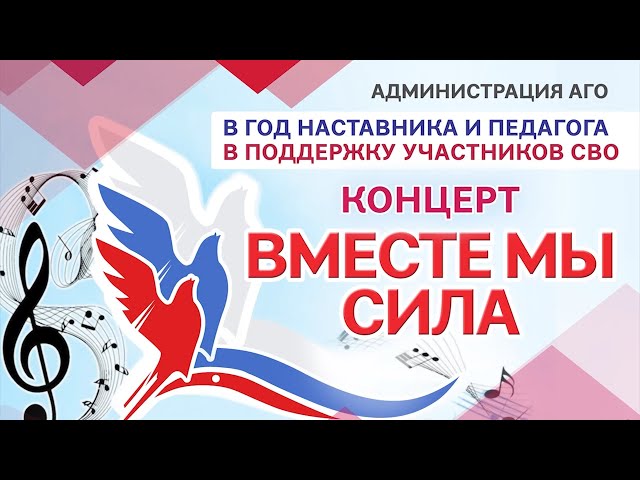 Концерт "Вместе Мы Сила"