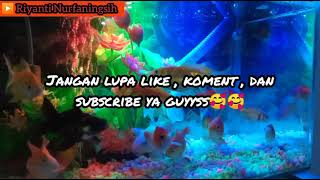 Download lagu HANYA INSAN BIASA - ERA SYAQIRA mp3