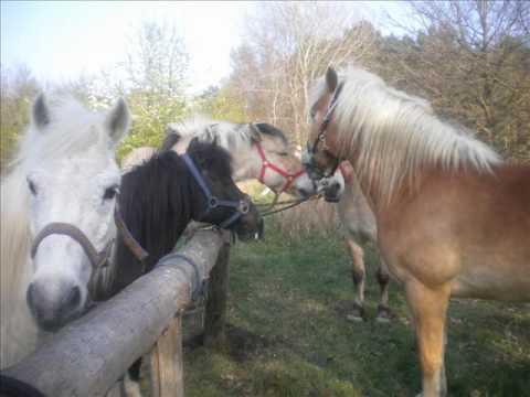 Wild Horses (Studio Edition) - Original Song by Marlon Howe