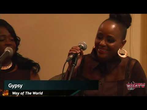 CALYPSO BACK 2 BASICS GYPSY