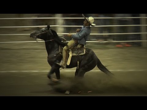 The Carbonero - Tres Elenas Ranch Breeding Farm