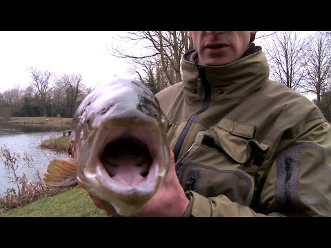 Stalking Monster Brow Trout