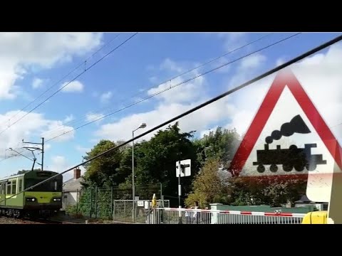 8100 And 8600 Class DART Trains - Baldoyle Road Level Crossing. 11/9/2019.
