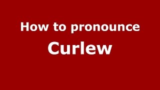 How to pronounce Curlew