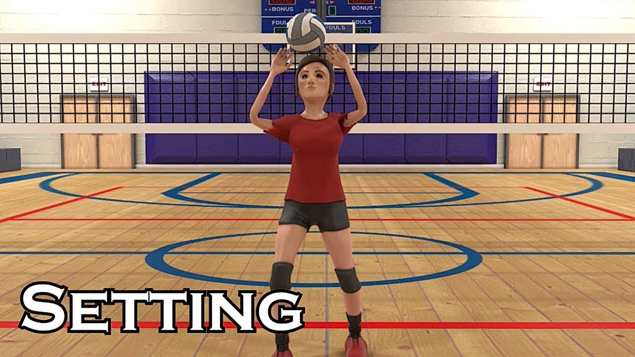 Volleyball Animation Tutorial | Setting