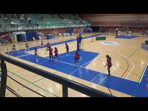 Gruas La Variante Molina - Cafés Samba CV Manacor  CFVerd