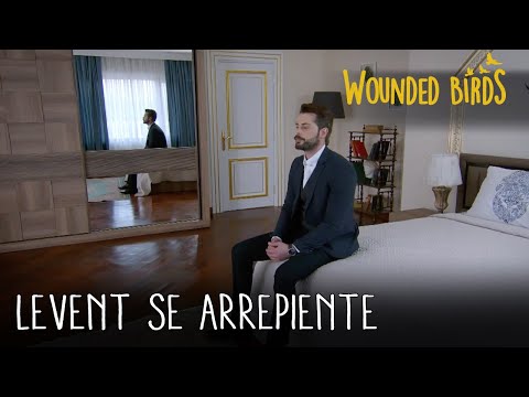 Levent se arrepiente | Wounded Birds (Yaralı Kuşlar) Capítulo 25