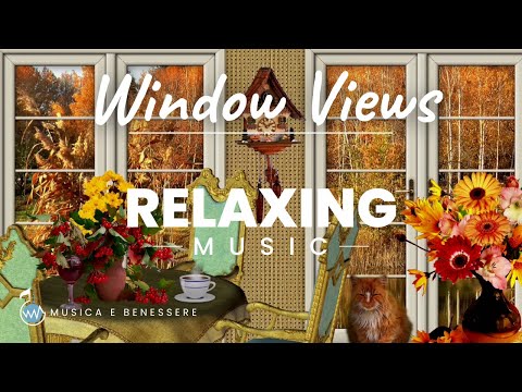 Relaxing Window Views: Mozart Relaxing Piano Classical Music Autumn Cozy Ambience Wind Birds and Cat
