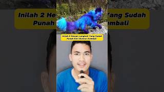 Download lagu 2 hewan langkah yang sudah punah muncul kembali #shorts mp3 Download lagu 2 hewan langkah yang sudah punah muncul kembali #shorts mp3