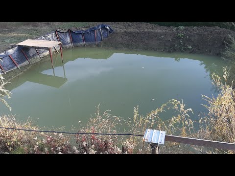 BALTA DIN GRADINA - IAZUL PERSONAL - FILMAM BALTA DE SUS SI PRIMA PARTIDA DE PESCUIT ✅