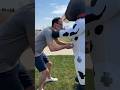 GIANT COW BEAT UP MY DAD #shorts