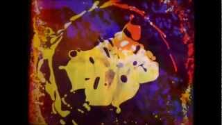 Trey Anastasio - A Case of Ice and Snow