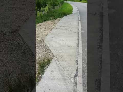 Est  23 Agosto 2025 PASOS VEHICULARES