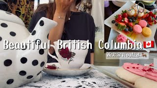【義実家帰省Vlog🇨🇦】シェルちゃんがハンバーガー作ったり、パパがラザニア作ったり、映画観に行ったり/ガールズのヴィンテージなアフタヌーンティー🫖🌷