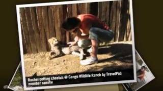 preview picture of video 'Cango Wildlife Ranch - Oudtshoorn, Western Cape, South Africa'
