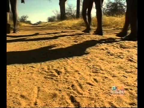 Ray Mears' World Of Survival S01E05 - Namibia