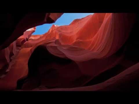 Desert Wishes - JULIA LYNX