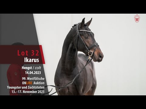 Online Auktion Youngster/Zuchtstuten Lot 32 Ikarus Hengst v. Iowa Gold -  Franziskus
