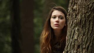 Between The Woods - Zoran Dobric by Kevin Caners