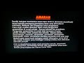 Closing To The Lego Movie 2014 DVD