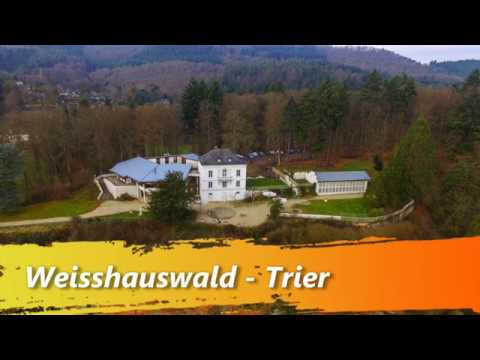 Drohnenflug: Weisshauswald in Trier l DJI Mavic Pro l Über Trier
