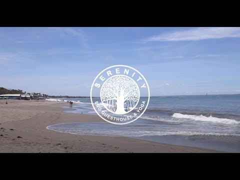 SERENITY ECO GUESTHOUSE in 2022 | Canggu Hidden Paradise for Health Conscious & Wellness Enthusiasts